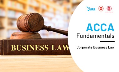 law and legal business